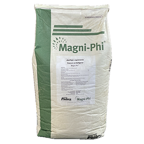 Magni-Phi
