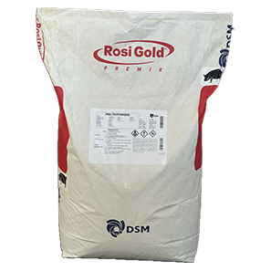 Rosigold S